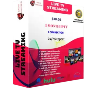 3 month iptv subscription 2 connection